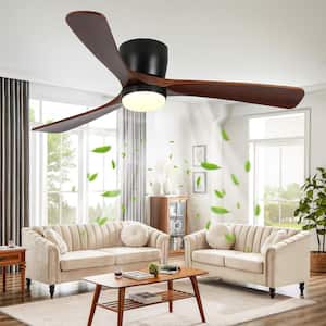 Ceiling Fans
