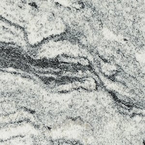 STONEMARK 3 in. x 3 in. Granite Countertop Sample in White Pebble