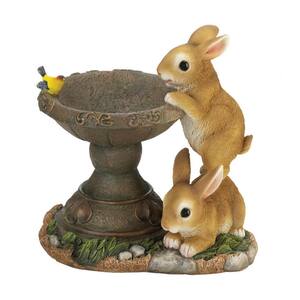 Bird Feeders