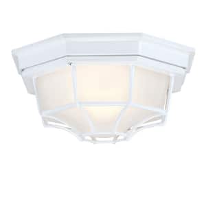 Outdoor Ceiling Lights