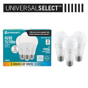 Light Bulb Shape Code: A19 in Light Bulbs