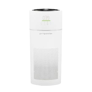 Large Room in Air Purifiers