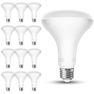 Flood and Spot Light Bulbs