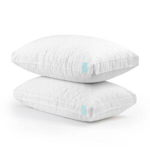 Bed Pillows