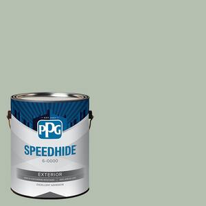 Exterior Paint