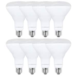 Flood and Spot Light Bulbs