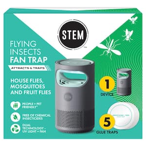 Insect Traps
