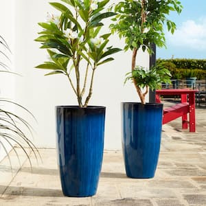 Plant Pots
