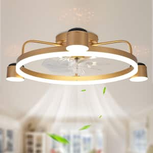 Gold in Ceiling Fans With Lights