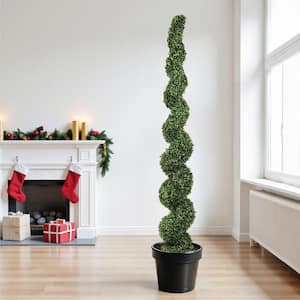 Spiral Topiary