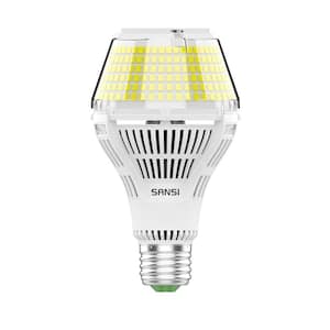 LED Light Bulbs