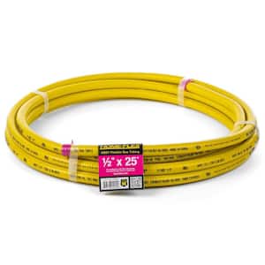 Natural Gas