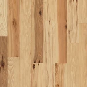 Hickory