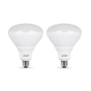 Light Bulb Shape Code: BR40