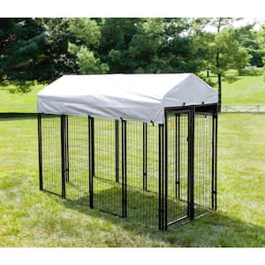 $200 - $250 in Dog Kennels