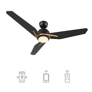 Black in Ceiling Fans With Lights