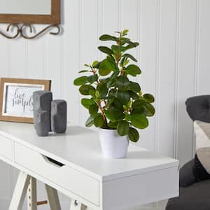 Indoor
