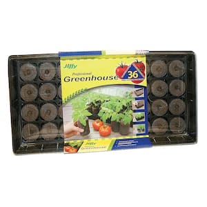Plant Seeds