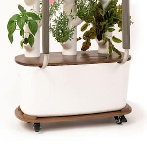 Planter Caddies