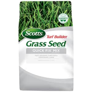 home depot grass seed