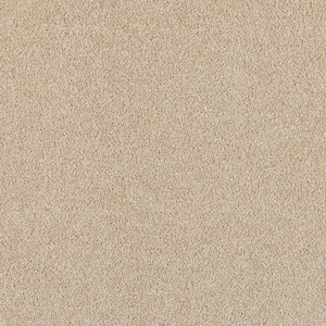Home Decorators Collection