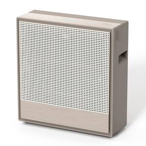 Personal Air Purifiers