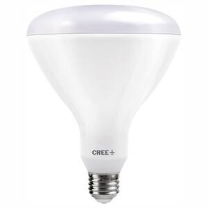 Dimmable in LED Light Bulbs