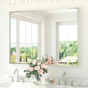 Mirror Width: Large (40-60 in.)