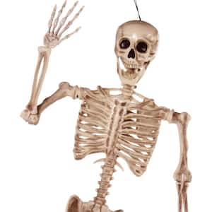 Skeleton
