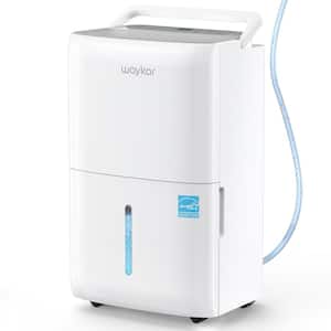 Basement in Dehumidifiers