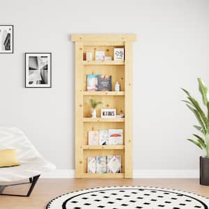 Bookcase Door