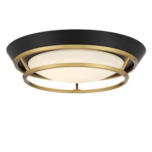 Flush Mount Ceiling Lights