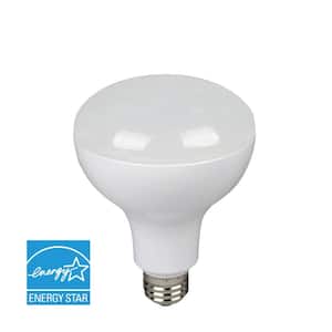 Light Bulbs