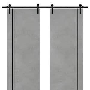Door Size (WxH) in.: 24 x 80
