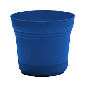 Plastic in Plant Pots