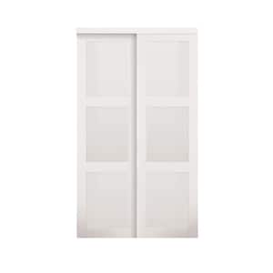 Panel Type: 3 Panel in Sliding Doors