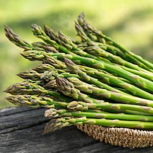 Asparagus