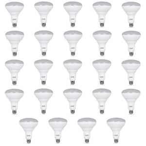 Light Bulb Shape Code: BR40