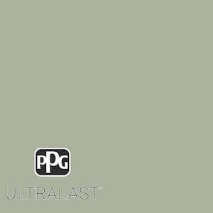 Gargoyle PPG1127-4  Paint and Primer_UL