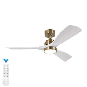 Ceiling Fans With Lights