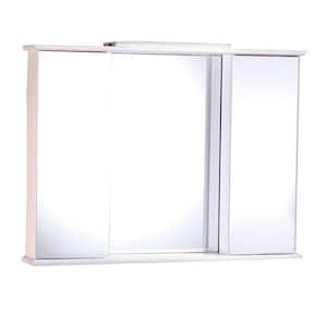 Medicine Cabinets with Mirrors