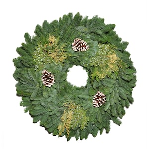 Wreath Diameter (in.): 20 - 25