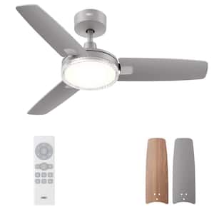 Ceiling Fans