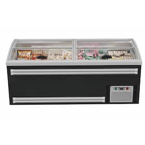 Chest in Commercial Freezers
