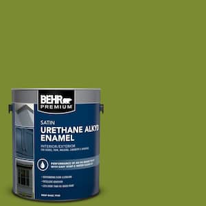 Interior/Exterior Paint