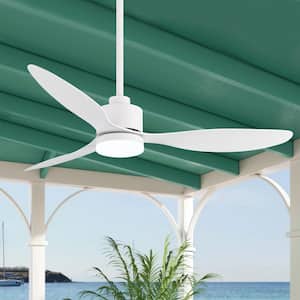 Ceiling Fans