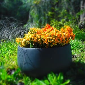 Minimalist in Planters