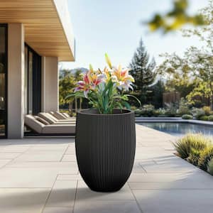 Outdoor in Plant Pots