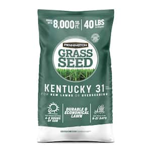 Grass Seed