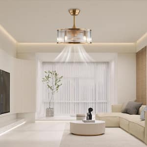 Ceiling Fans With Lights
